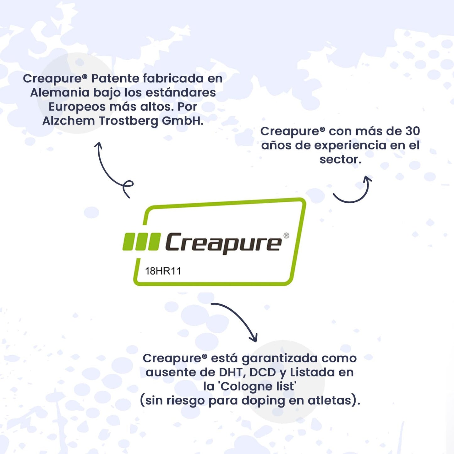 HSN Creatina 100% CREAPURE® en Cápsulas | 120 Cápsulas Vegetales (40 Servicios) | Sello de Calidad Garantizada: Puro Monohidrato de Creatina Micronizada Libre de Contaminantes | Vegano, Sin Gluten