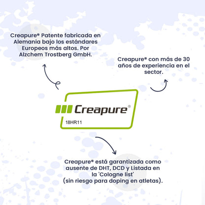 HSN Creatina 100% CREAPURE® en Cápsulas | 120 Cápsulas Vegetales (40 Servicios) | Sello de Calidad Garantizada: Puro Monohidrato de Creatina Micronizada Libre de Contaminantes | Vegano, Sin Gluten