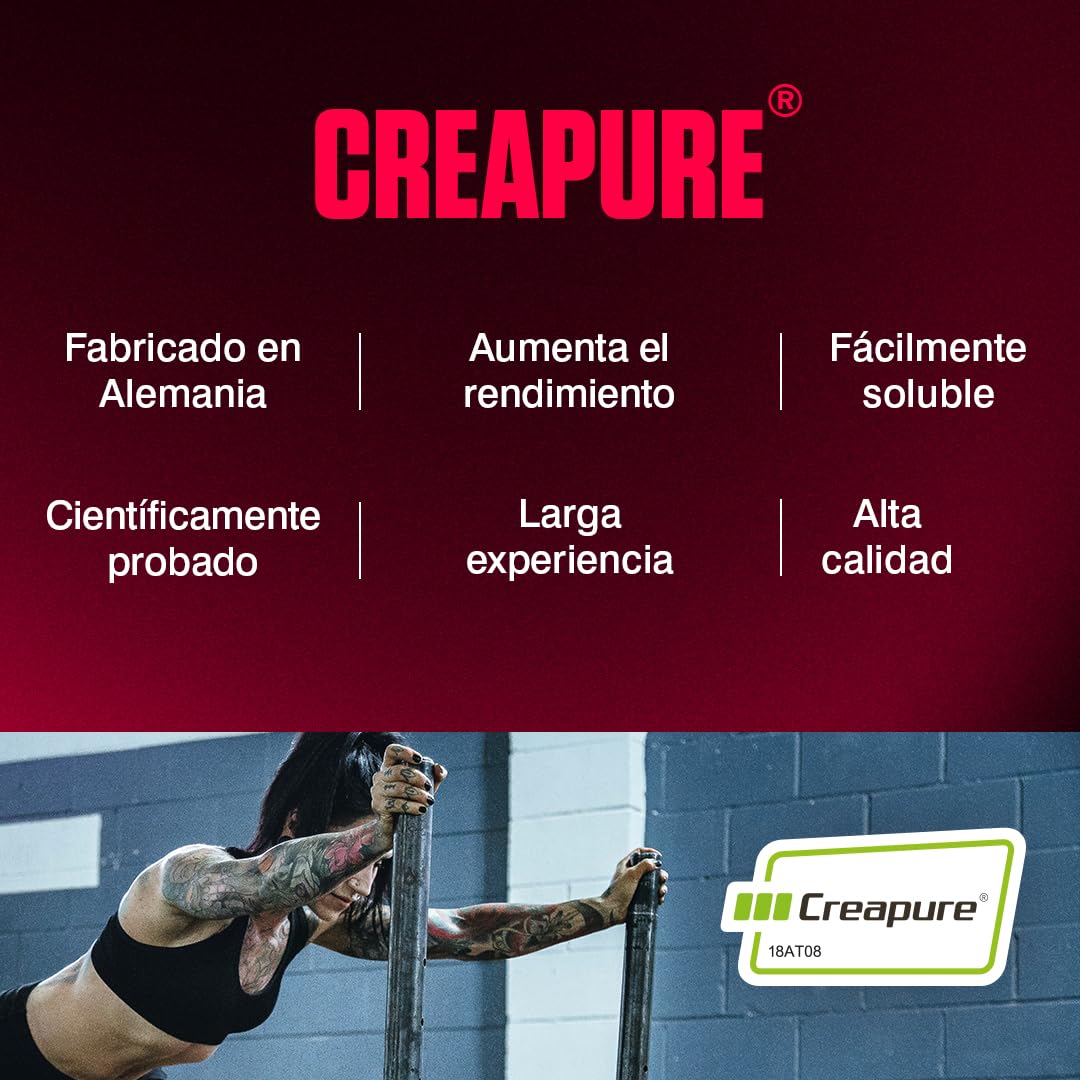 Dymatize Creatine Monohydrate Unflavoured Powder 500g - 100% Creapure Creatine - Aminoácidos - Creatina