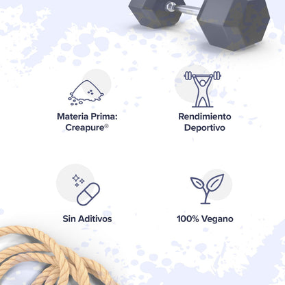 HSN Creatina 100% CREAPURE en Polvo Sin Sabor 500g | 100% Monohidrato de Creatina Micronizada | No Incluye Dosificador | Sin Añadidos y Libre de Contaminantes | No-GMO, Vegano, Sin Gluten