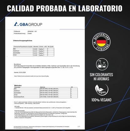Creatina Monohidratada 1kg / 1000g - Polvo 100% Vegano - Creatina Monohidrato Sin Sabor con Inulina - Alta Pureza - Producido en Alemania - Creatine Monohydrate Powder