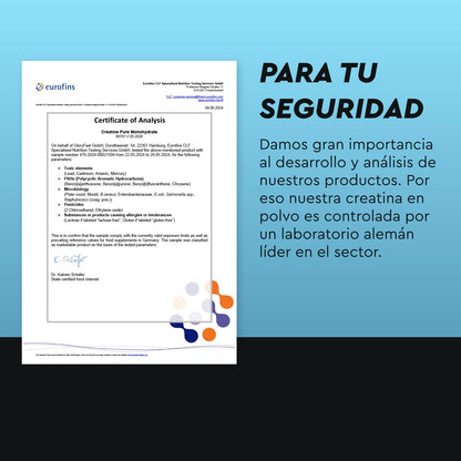 Creatina Monohidratada 500 g (Creapure®) - Polvo Micronizado 99,99% puro - 147 porciones de Creatina Monohidrato, 3409mg por día - Materia prima de primera calidad de Alemania - Sin aditivos