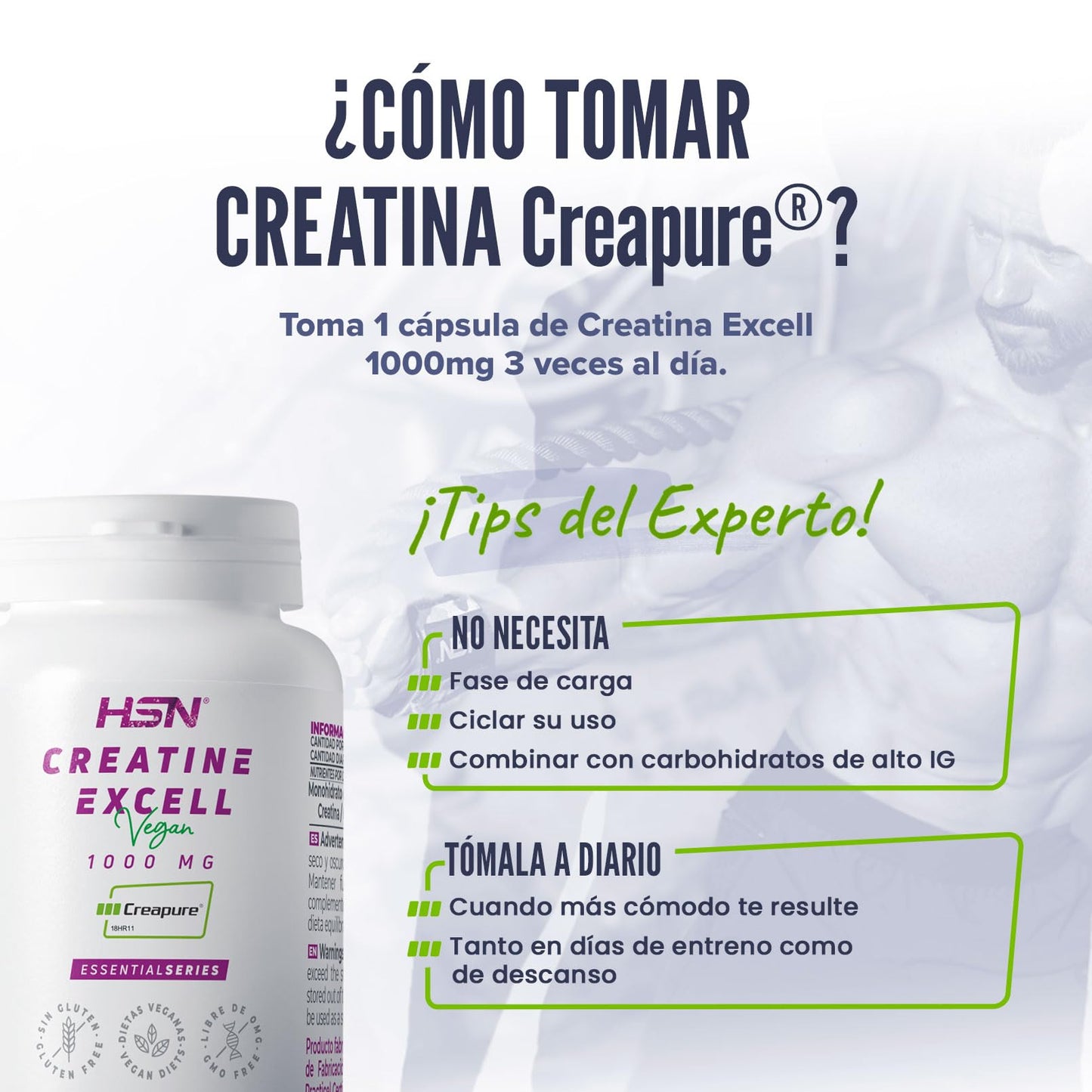 HSN Creatina 100% CREAPURE® en Cápsulas | 120 Cápsulas Vegetales (40 Servicios) | Sello de Calidad Garantizada: Puro Monohidrato de Creatina Micronizada Libre de Contaminantes | Vegano, Sin Gluten