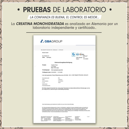 Creatina monohidratada en polvo 1kg / 1000g - calidad micronizada - óptimamente dosificada - creatina pura sin aditivos - 100% vegana - para 292 dias